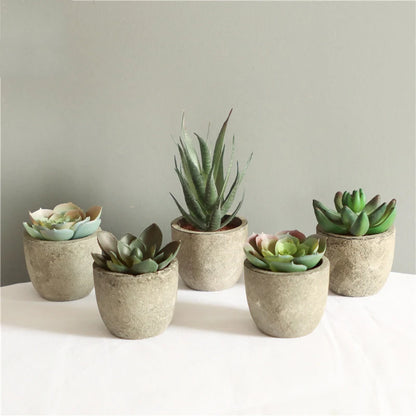 Mini Artificial Aloe Plants - Small Fake Plant Accents for Office and Home